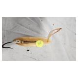 Bone Silver Minnow Style Lure out of bone-Great Condition Bone Silver Minnow Style Lure out of bone-Great Condition