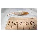 Bone Silver Minnow Style Lure out of bone-Great Condition Bone Silver Minnow Style Lure out of bone-Great Condition