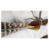 Coup Stick-Used often to determine Bravery in Native American Culture Coup Stick-Used often to determine Bravery in Native American Culture