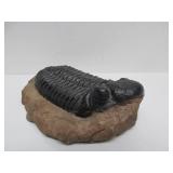 Great Collection of Ancient Egyptian Stone Sculptures by Indigenous Art Company
