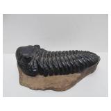 Great Collection of Ancient Egyptian Stone Sculptures by Indigenous Art Company