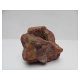 2 Larger Heavy Chunks of Arizona Petrified Wood