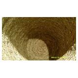 Buyer Sample W/ Hay Puffs