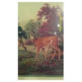 "Wooded Royalty" by Rodger Lawrence