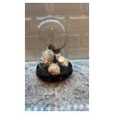Taxidermy Hummingbird in Glass Dome with Coral Display 8.5 x 6 in