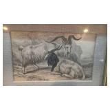 Pair of 8x6 Framed Vintage Animal Etchings