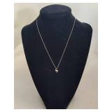 14K White Gold Chain & Pendant 14K White Gold Chain & Pendant