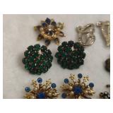 Assortment of Pins & Earrings Assortment of Pins & Earrings