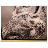 Large Framed Great Horned Owl Photo Print Large Framed Great Horned Owl Photo Print