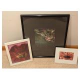 Framed Floral Prints by John A. Olson Framed Floral Prints by John A. Olson