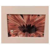Framed Floral Prints by John A. Olson Framed Floral Prints by John A. Olson