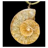 Ammonite Fossil Pendant with Cord Necklace Ammonite Fossil Pendant with Cord Necklace