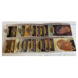 1981 O-Pee-Chee 24 Card Giant Set with Wayne Gretzky Hockey Card