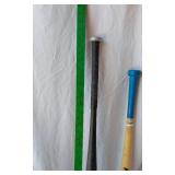 Mixed Sports Equipment Lot including Easton Hammer Bat, MacGregor Bat, Franklin Teeball Bat, Prince Tennis Racket, and Assorted Golf Balls