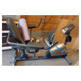 Exerpeutic Recumbent Bike with Dumbbells and Foam Roller