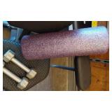 Exerpeutic Recumbent Bike with Dumbbells and Foam Roller
