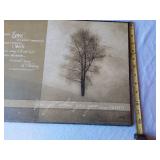 Framed Artworks including Serenity Prayer, Tree Print, Praying Man, and Doily Art