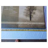 Framed Artworks including Serenity Prayer, Tree Print, Praying Man, and Doily Art