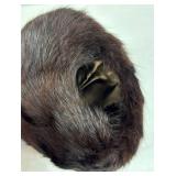 Vintage 1940 Daytons-Schuneman Ermine Stole Cape and Vintage Fur Hand Muffler Vintage 1940 Daytons-Schuneman Ermine Stole Cape and Vintage Fur Hand Muffler