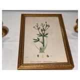 Vintage Brass Wall Sconces & Framed Botanical Print Vintage Brass Wall Sconces & Framed Botanical Print