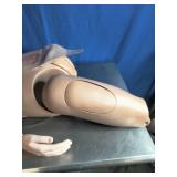 Halloween Prop and or Medical Educational Prop Halloween Prop and or Medical Educational Prop