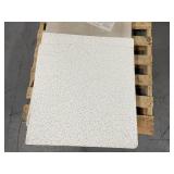 USG CGC Ceilings - Lot of 2 - Radar Basic Drop Ceiling Tiles (16 Piece) USG CGC Ceilings - Lot of 2 - Radar Basic Drop Ceiling Tiles (16 Piece)