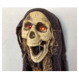 Bethany Lowe Halloween: Ghoul (Skull) Yard Stake