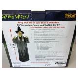 Floating Witch Decoration