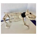 "Buster Bones" Halloween Dog Skeleton