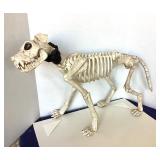 Larger Halloween Dog Skeleton