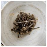 5 Gallon Bucket of 12" Forever Nails from Concrete Job