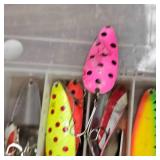 15+ Dare Devles in Tackle Box