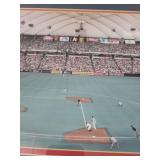 Minnesota Twins Metrodome Panoramic Framed Print 43x18