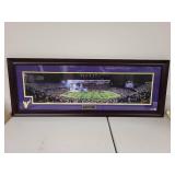 Framed Minnesota Vikings TCF Bank Stadium Panoramic Photo 44x17