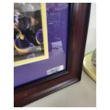 Framed Minnesota Vikings TCF Bank Stadium Panoramic Photo 44x17