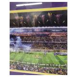 Framed Minnesota Vikings TCF Bank Stadium Panoramic Photo 44x17