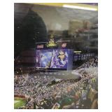 Framed Minnesota Vikings TCF Bank Stadium Panoramic Photo 44x17