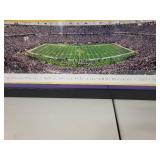 Framed Minnesota Vikings Metrodome Panoramic Stadium Print 16x43