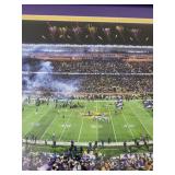 Framed Minnesota Vikings Panoramic TCF Bank Stadium 2016 Photo, 43x16 Inches