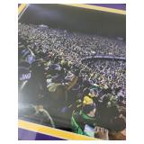 Framed Minnesota Vikings Panoramic TCF Bank Stadium 2016 Photo, 43x16 Inches