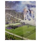 Framed Minnesota Vikings TCF Bank Stadium Panoramic Photo 43x16