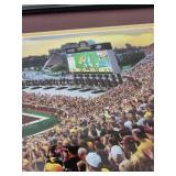 Framed Panorama TCF Bank Stadium Inaugural Game 2009 Artwork