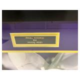 Framed Adrian Peterson Minnesota Vikings Memorabilia Photo