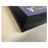 Framed Minnesota Vikings Hall of Fame Collage with NFL Players