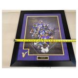 Framed Minnesota Vikings Hall of Fame Collage with NFL Players