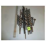 Assorted Wood Drill Bits