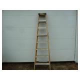 Dewalt Fiberglass Ladder 8