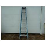 Werner Fiberglass Ladder 8