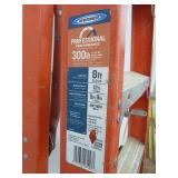 Werner Fiberglass Ladder 8