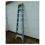 Werner Fiberglass Ladder 8